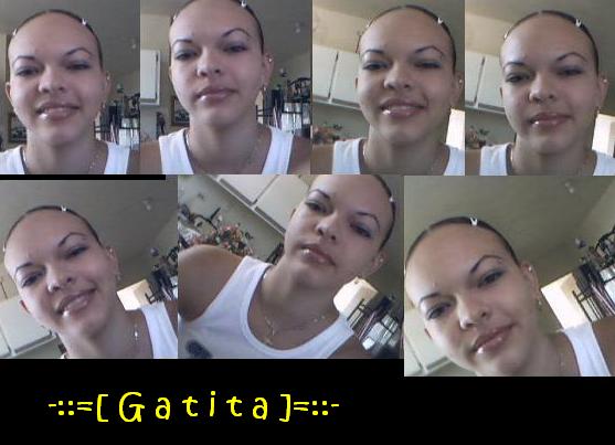 gatis2.jpg