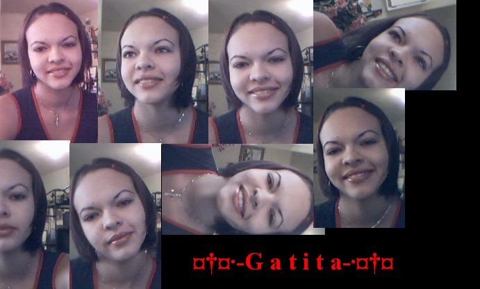gatitax.jpg